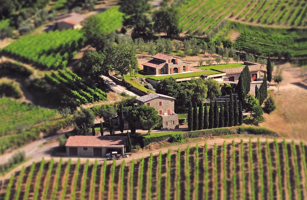 la gerla tuscan estate vineyard brunello